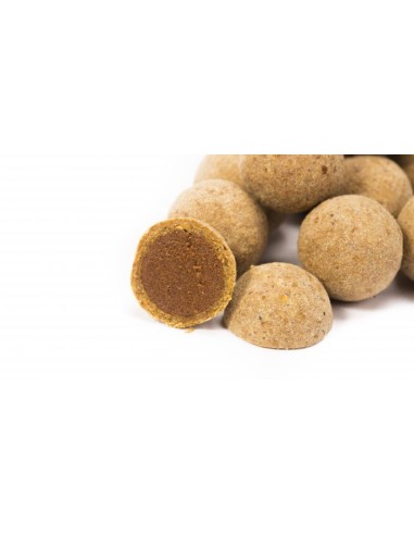 Nash pop-up cultured scopex squid 15mm 20unds