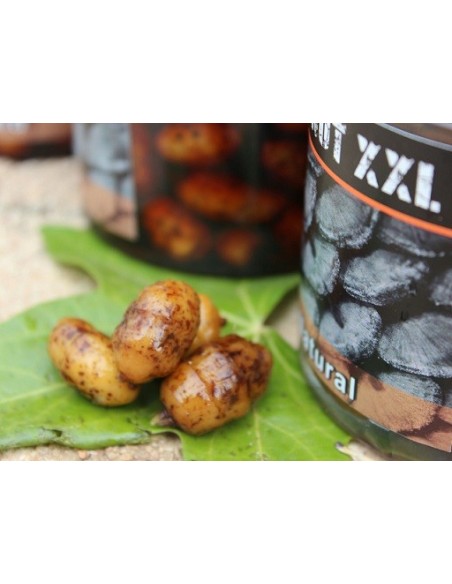 Fusionbaits tarro chufas xxl coco y talin