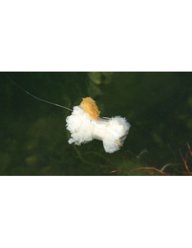 Nash bread bomb small 3unds