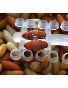 Enterprise caster bait band doble 2