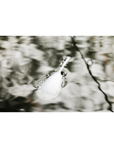 Korda boya surface float 50gr