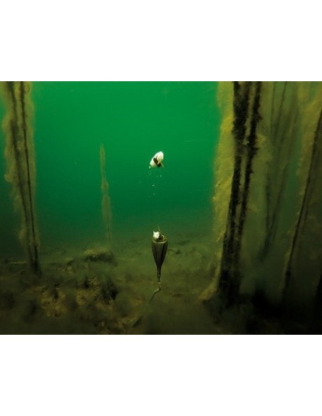 Korda kit adjustable zig large