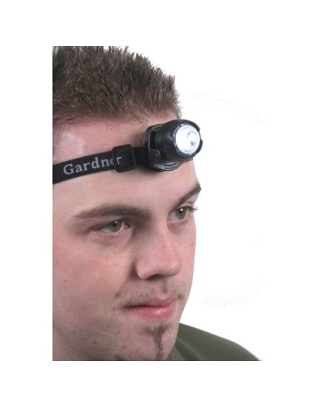 Gardner frontal cyba