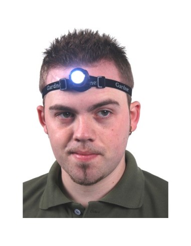 Gardner frontal cyba