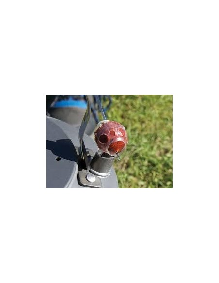 Carp spirit protector boilies 20-25mm 10unds