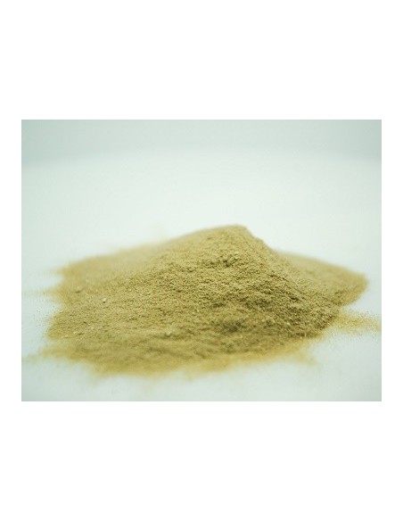 Massive baits blood plasma 1kg