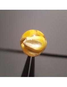 Infinity baits boilies maiz 4unds 2