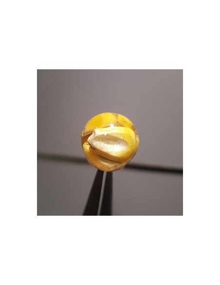 Infinity baits boilies maiz 4unds