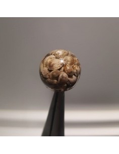 Infinity baits boilies cañamon 4unds 2