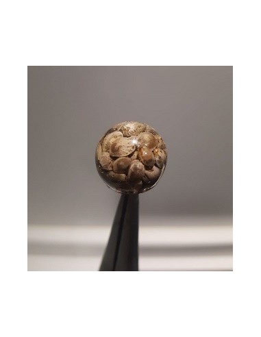 Infinity baits boilies cañamon 4unds