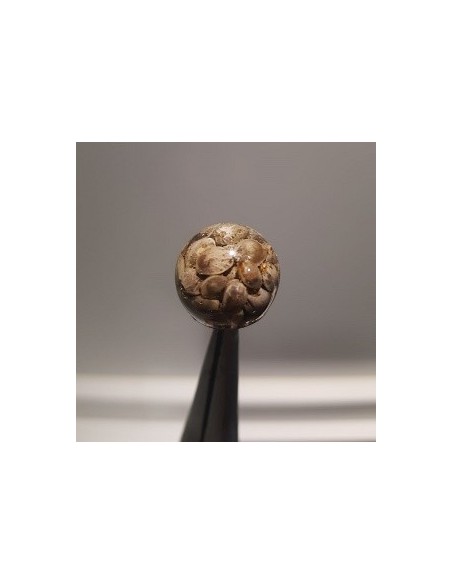 Infinity baits boilies cañamon 4unds