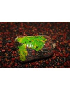 Proelite fluminow explosive garlic 150ml 2