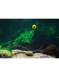 Tandem baits diffusion pop-up chilli & robin red 12mm 2