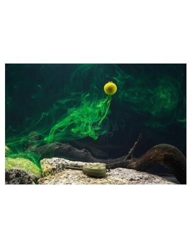 Tandem baits diffusion pop-up squid orange 12mm