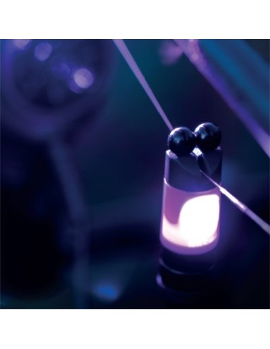 Nash siren night glo bobbin large blanco