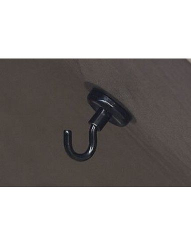 Nash bank life magnet bivvy hook