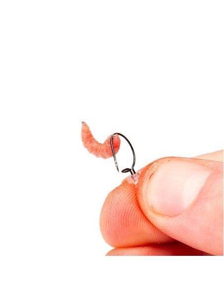 Nash maggot screw small 5unds