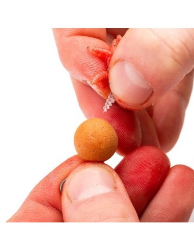 Nash maggot screw small 5unds