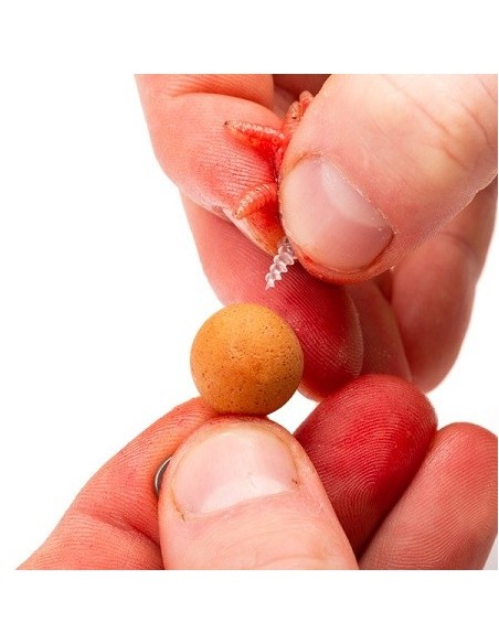 Nash maggot screw small 5unds