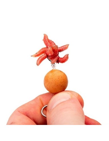 Nash maggot screw small 5unds