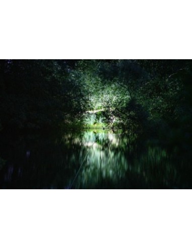 Nash moonshine multi life 180 lumens