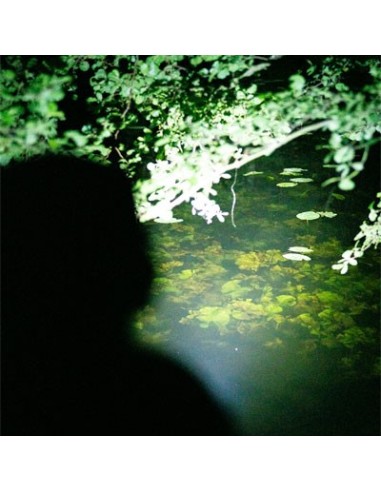 Nash moonshine mega lite 760  lumens