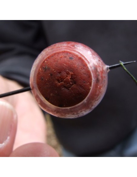 Gardner protector boilies 12-20mm 3uds