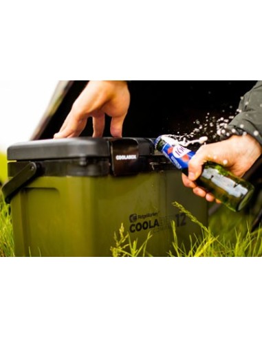 Ridgemonkey nevera coolabox compact 12l