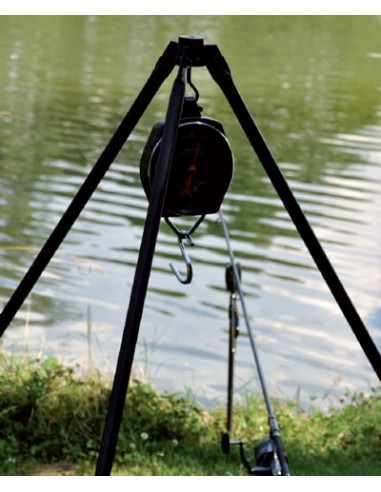 Carp spirit tripode pesaje