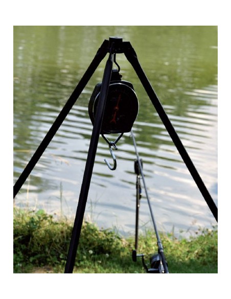 Carp spirit tripode pesaje