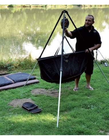 Carp spirit tripode pesaje