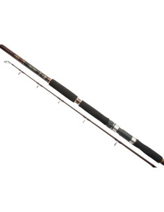 Shimano beastmaster silurus 270-300 cm