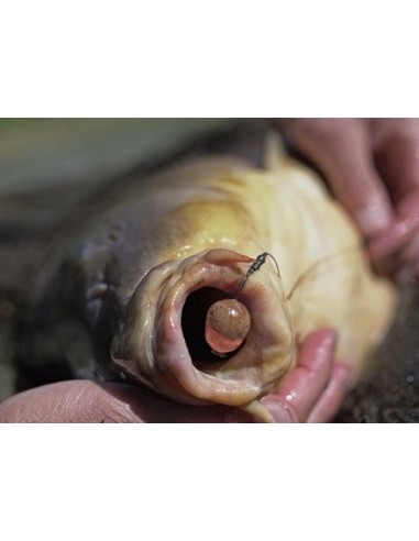 Pole position bait wrap medium 14-22mm 10unds