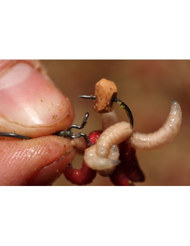 Korda maggots clips medium 10 unds