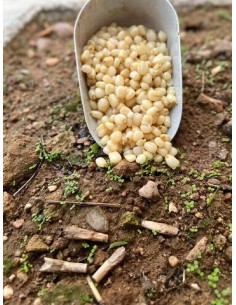 Particles semillas maiz blanco cocido 3kg 2