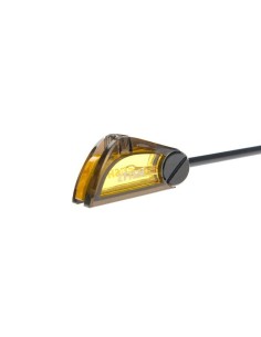 Zfish tensor luminoso enigma amarillo 2