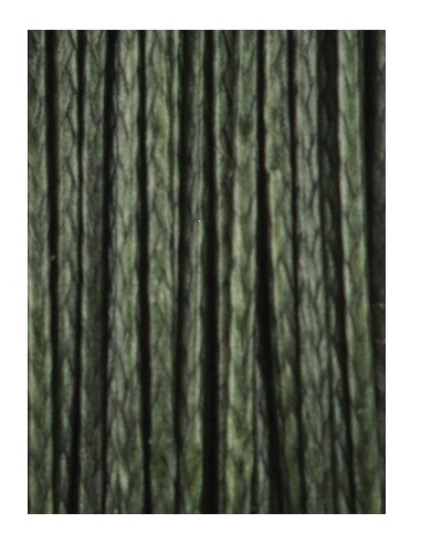 Carp spirit ballistic green 25lb 20m