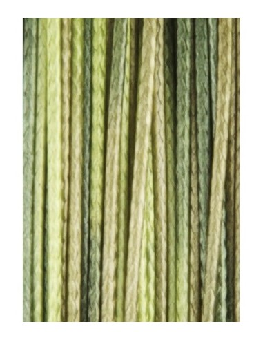 Carp spirit camo skin 25lb 20m