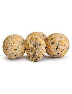 Tandem baits euro boilies garlic 18mm 1kg