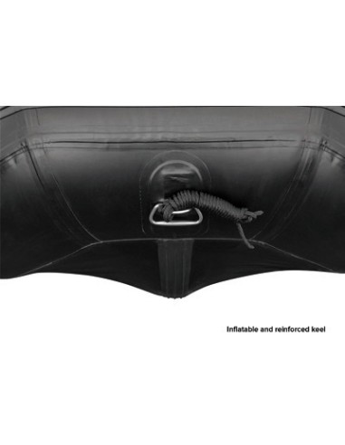 Carp spirit black boat 270WI