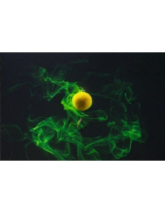 Tandem baits diffusion booster robin fruit 100ml 2