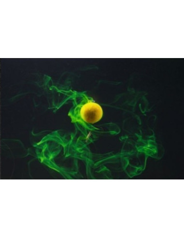 Tandem baits diffusion booster halibut straberry 100ml