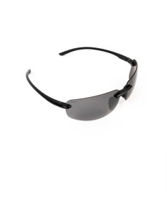 Avid carp gafas BEAM subglasses