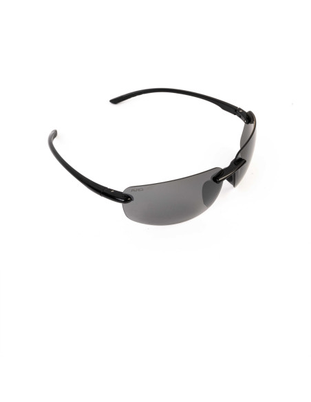 Avid carp gafas BEAM subglasses