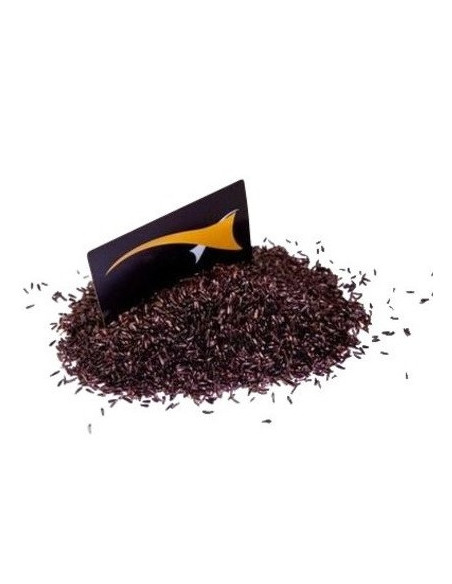 MTC baits semilla de negrillo(niger seed) 1kg