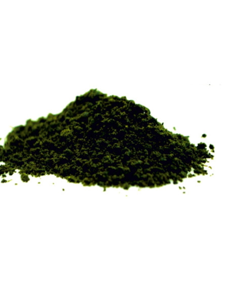 Massive baits harina de girasol 1kg