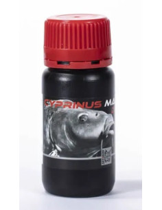 Trybion dip cyprinus max 100ml
