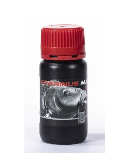 Trybion dip cyprinus max 100ml