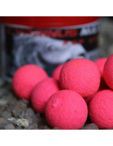 Trybion pop-up cyprinus max 14mm 40gr