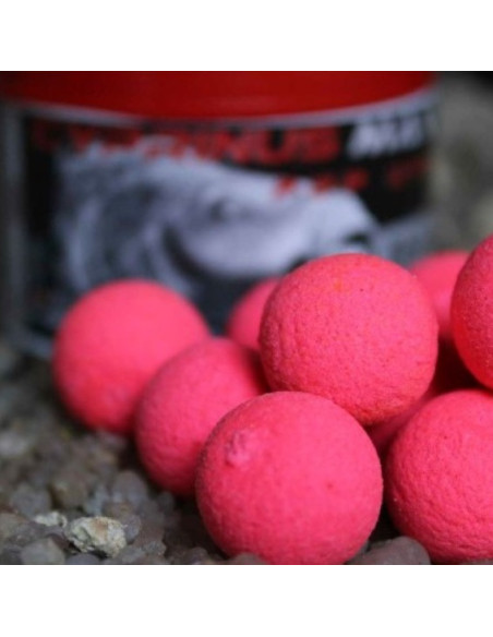 Trybion pop-up cyprinus max 14mm 40gr